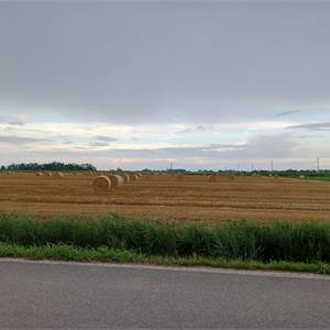 Agricultural Field for Sale in Gaiarine