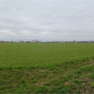 Agricultural Field for Sale in Pasiano di Pordenone
