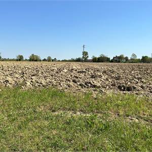 Agricultural Field for Sale in Brugnera
