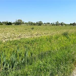 Agricultural Field for Sale in Brugnera