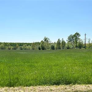 Agricultural Field for Sale in Prata di Pordenone