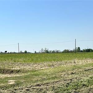 Agricultural Field for Sale in Pordenone