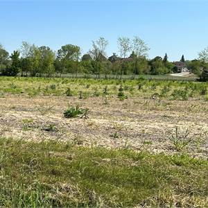 Terreno Agricolo In Vendita a San Quirino