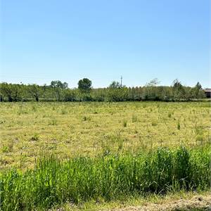 Terreno Agricolo In Vendita a Prata di Pordenone