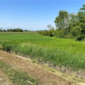 Terreno Agricolo In Vendita a Gaiarine