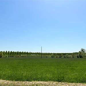 Agricultural Field for Sale in Gaiarine