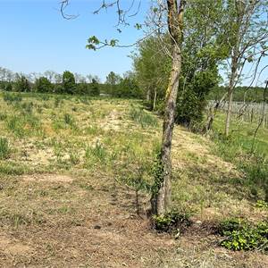 Agricultural Field for Sale in Sacile