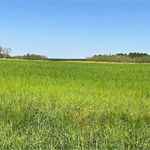 Agricultural Field for Sale in Sacile