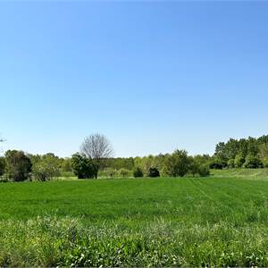 Terreno Agricolo In Vendita a Brugnera