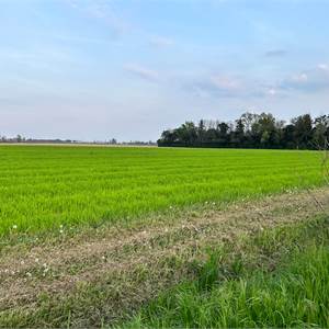 Terreno Agricolo In Vendita a Sacile
