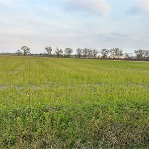 Terreno Agricolo In Vendita a Gaiarine
