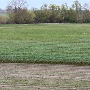 Terreno Agricolo In Vendita a Brugnera