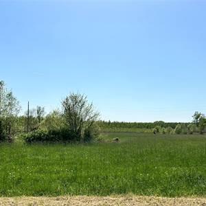 Agricultural Field for Sale in Azzano Decimo