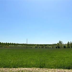 Terreno Agricolo In Vendita a Sacile