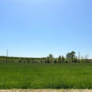 Terreno Agricolo In Vendita a Sacile