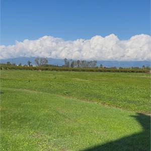 Terreno Agricolo In Vendita a Pasiano di Pordenone