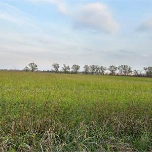 Agricultural Field for Sale in Sacile