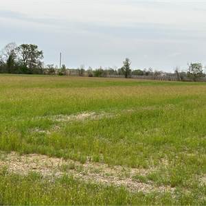 Terreno Agricolo In Vendita a Gaiarine