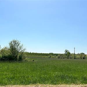 Terreno Agricolo In Vendita a Pasiano di Pordenone