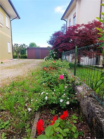 Photo 33
